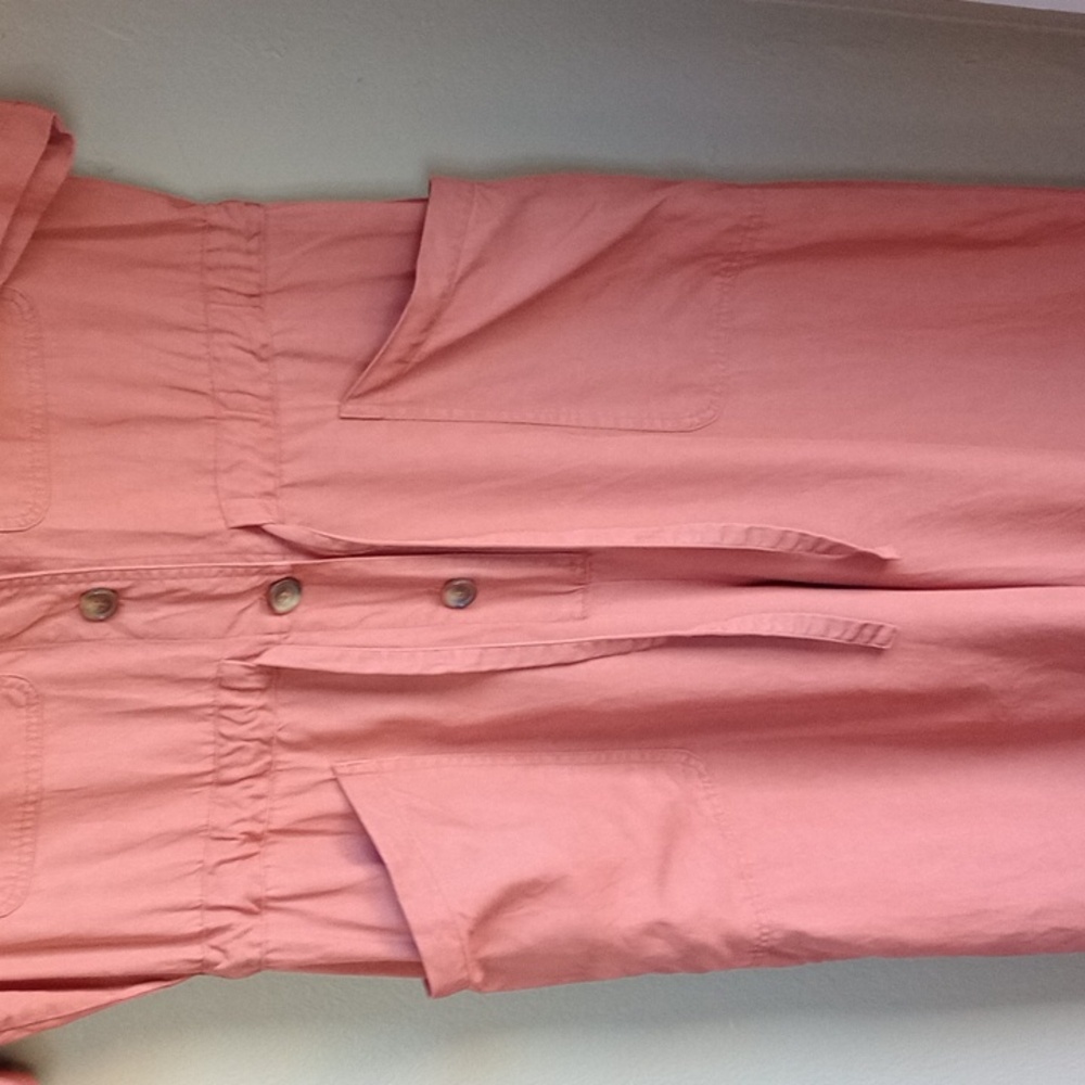 Marine Layer Rust Orange Button-Up Cargo Jumpsuit… - image 3